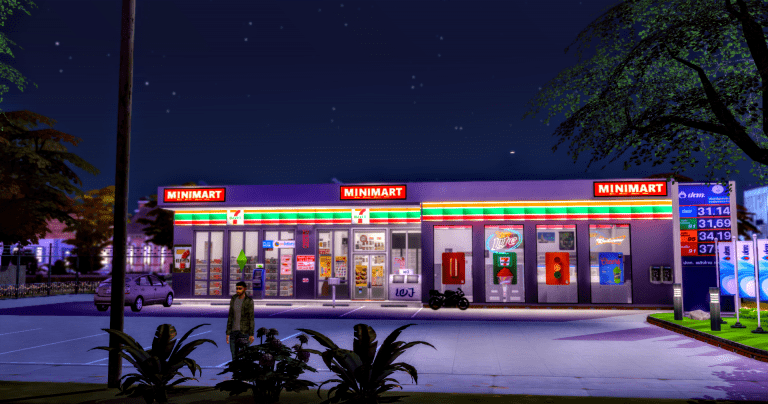 Search Results 34 Mini Mart Lot
