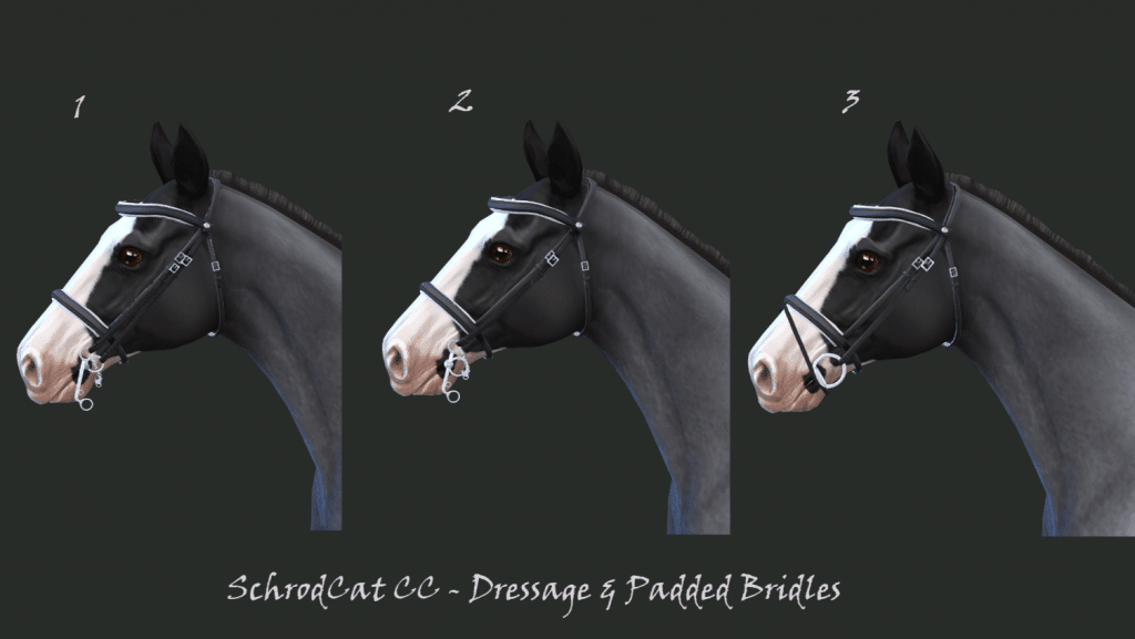 Dressage Bridle and Padded Bridle for Horses