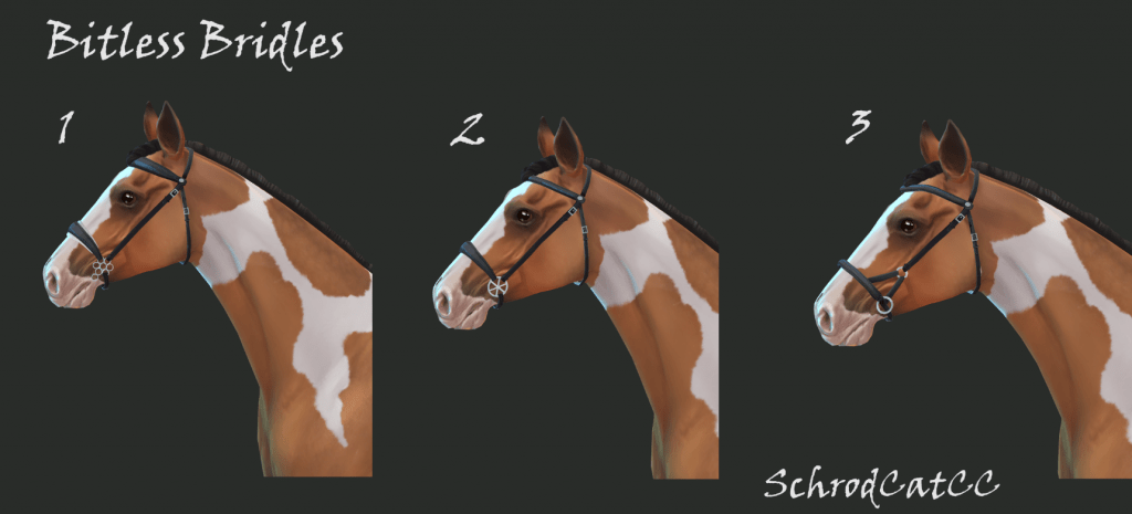 Bitless Bridles for Horses