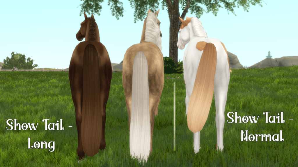 Long and Normal Show Tail for Horses