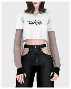 crop top with fishnet sleeves accessory