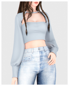 milly crop top and sleeves accessory