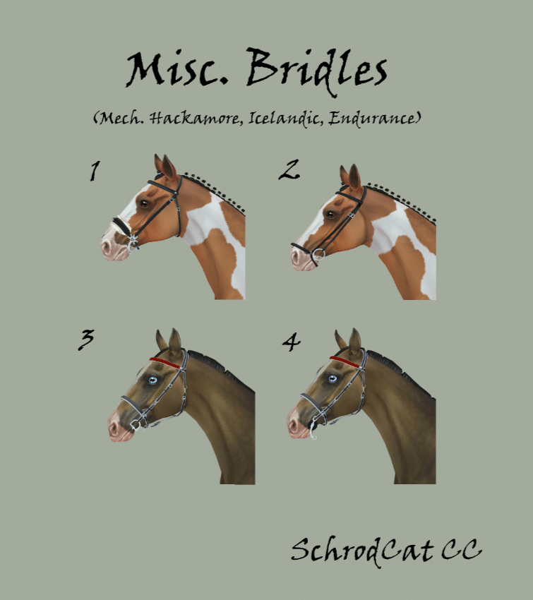 Assorted Bridles for Horses