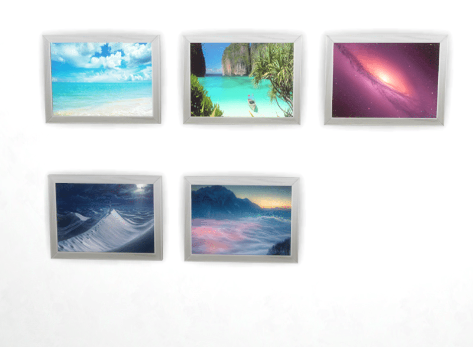 Assorted Nature Art Paintings Decor