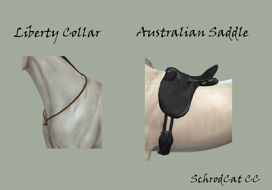 Liberty Collar and Australian Saddle for Horses