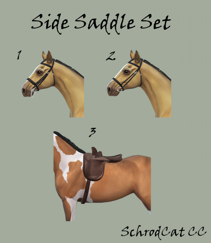 Side Saddle Set for Horses
