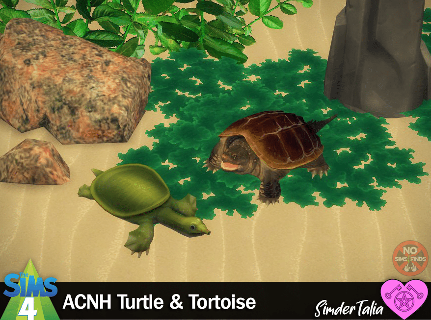 ACNH Turtle and Tortoise Pet Decor