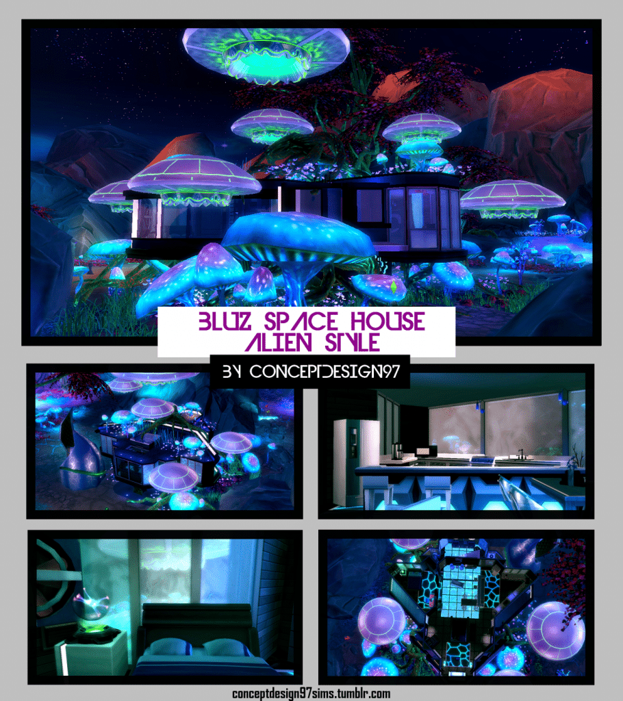 Alien House “BLUZ SPACE”