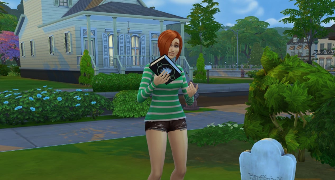 The Sims 4 Book of Life: What It Is, How To Write It, And How To Use It ...