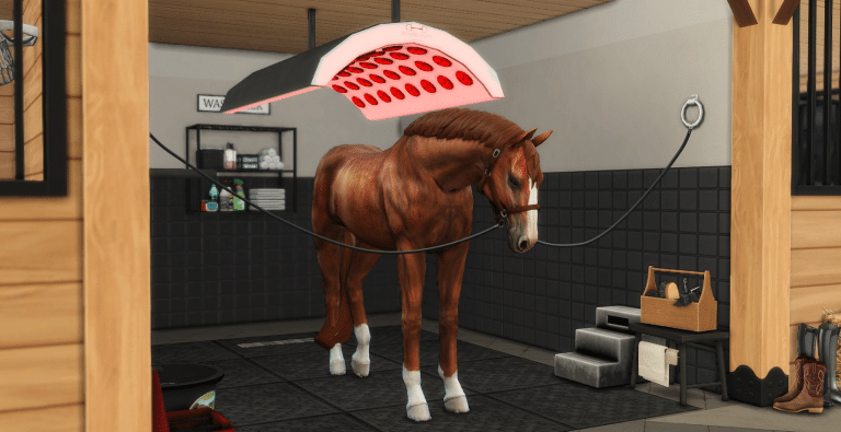 Equine Stable Infrared Therapy Lamp for Horses
