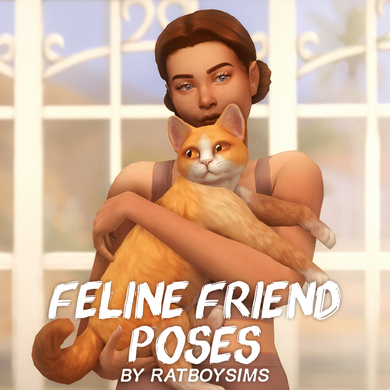 Feline Friend Poses