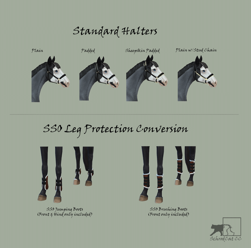 Halters and Boots for Horses