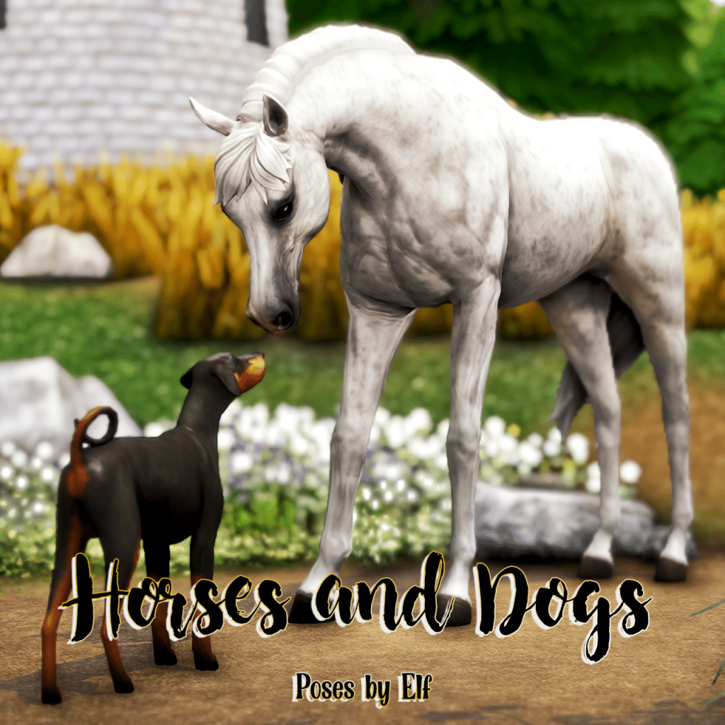 Horses and Dogs