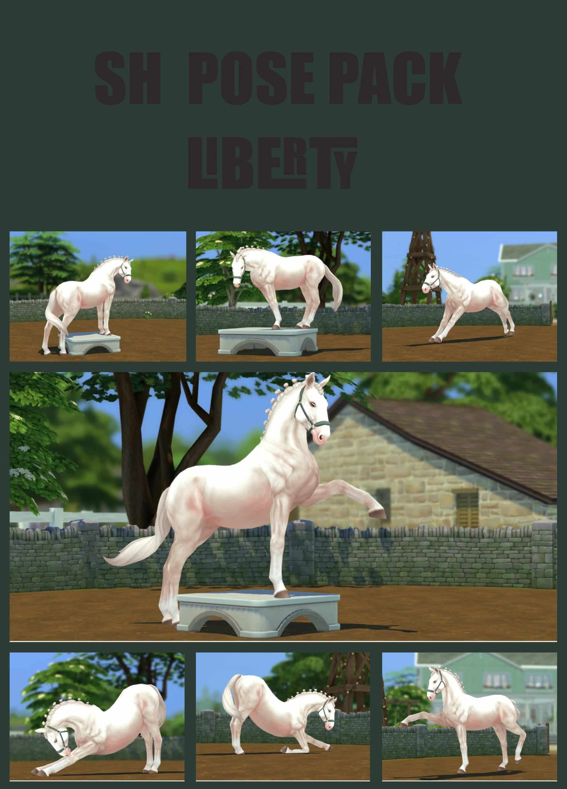 Liberty Pose Pack