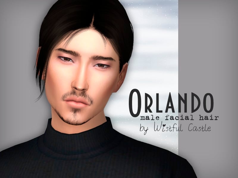 Orlando Male Facial Hair