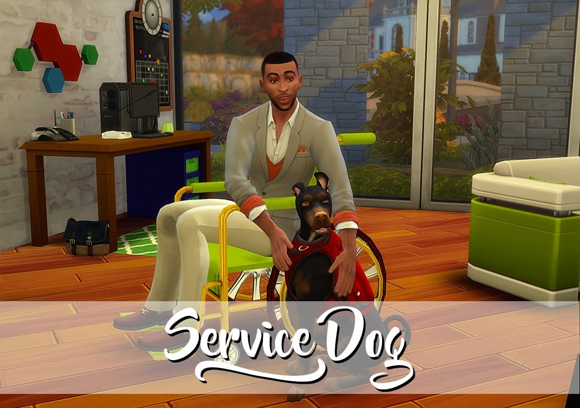 Service Dog Posepack