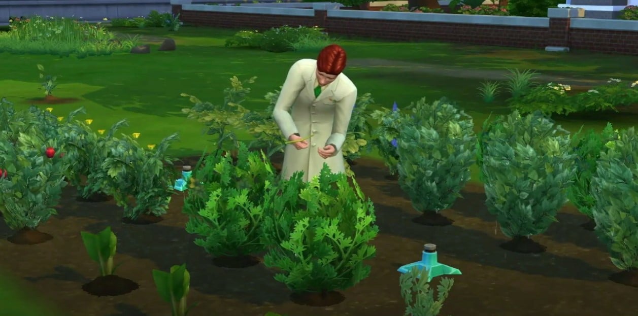 sims 4 career botanist