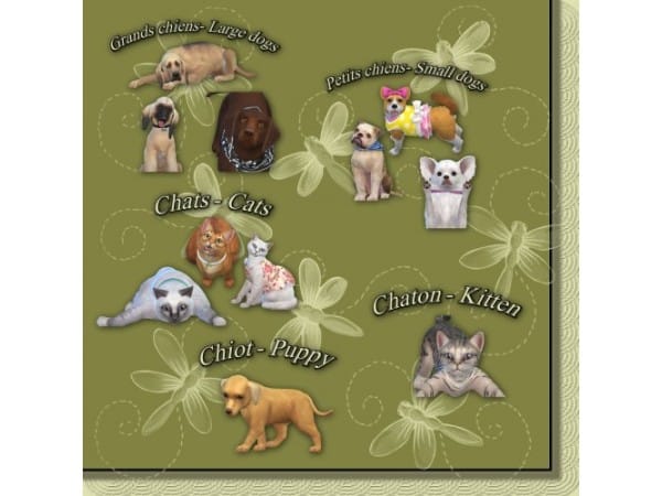 109064 animal poses pets poses by kassimsdesign sims4 featured image