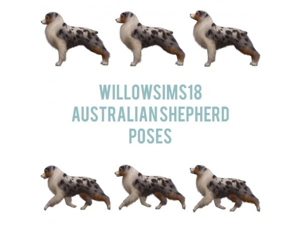 109074 australian shepherd poses by willowsims18 sims4 featured image