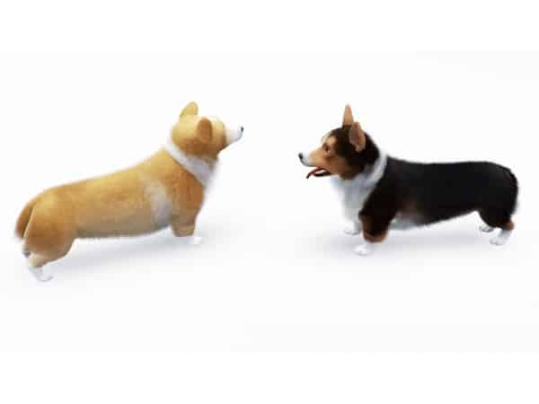 118218 welsh corgis by krooooon sims3 featured image