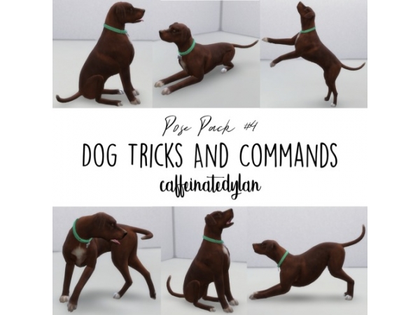 195298 dog tricks commands pose pack sims4 featured image