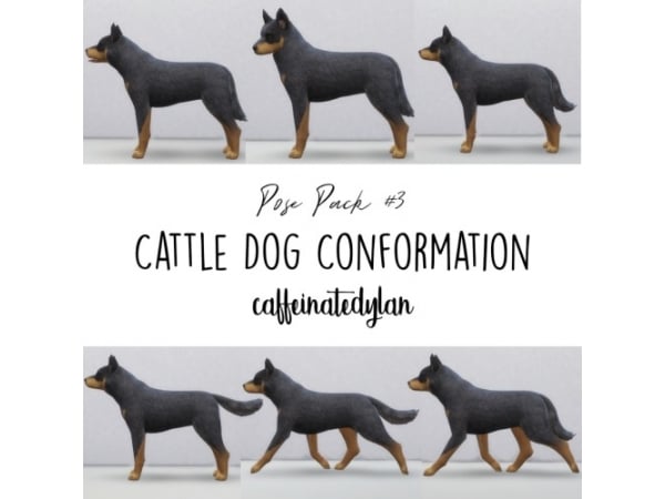 195299 australian cattle dog conformation poses sims4 featured image