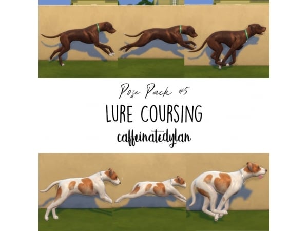 PoseMaster’s Ultimate Lure Coursing Pack (Pet & Accessory Poses for All Dog Sizes)