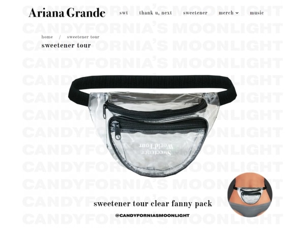 209228 sweetener tour clear bags sims4 featured image