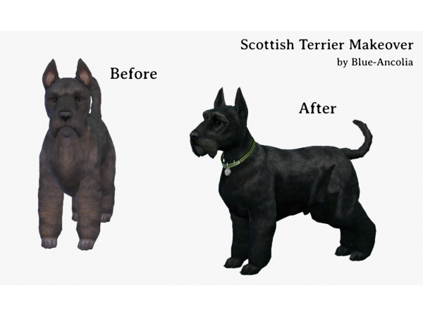 219427 scottish terrier makeover sims4 featured image