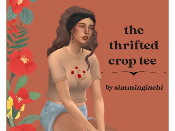 Chic Thrifter’s Delight: The Ultimate Guide to Stylish Crop Tees (AlphaCC Collection)