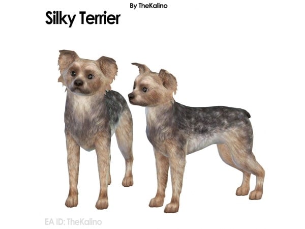 267940 silky terrier sims4 featured image