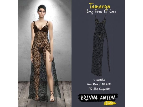 Tamaryn’s Elegance: Brinna Anton’s Lace Long Dress (Sexy Alpha Female Attire)