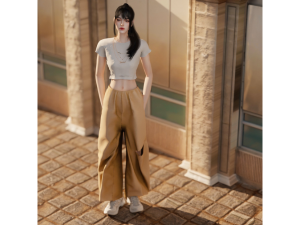Chic Chih Comfort: Wide-Leg Khaki Pants for Her (AlphaClothes Collection)