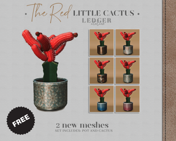 Alphacc’s Enchantment: The Red Little Cactus (Decor, Accessories & Botanical Charm)