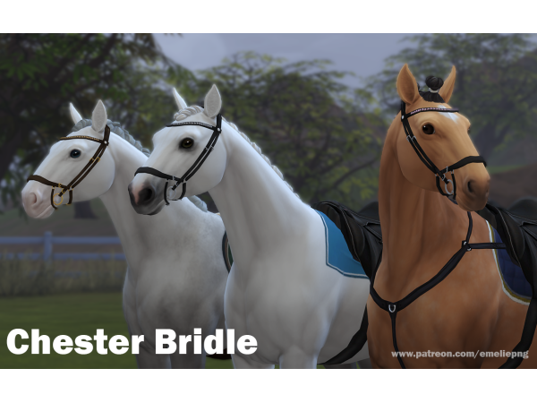 331107 chester bridle by emelie sims4 featured image