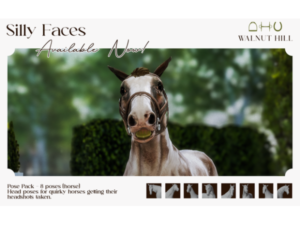 Whimsy Whinnies: Silly Faces & Horse Ranch Poses (AlphaCC, Pets & Accessories)
