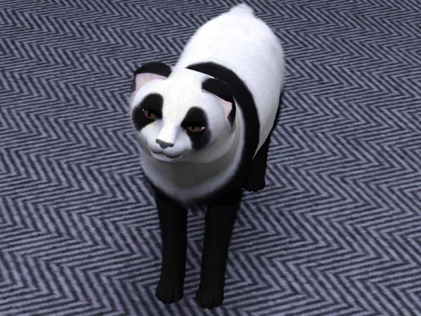 4094 o gato panda sims3 featured image