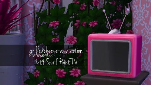 Surf Point TV