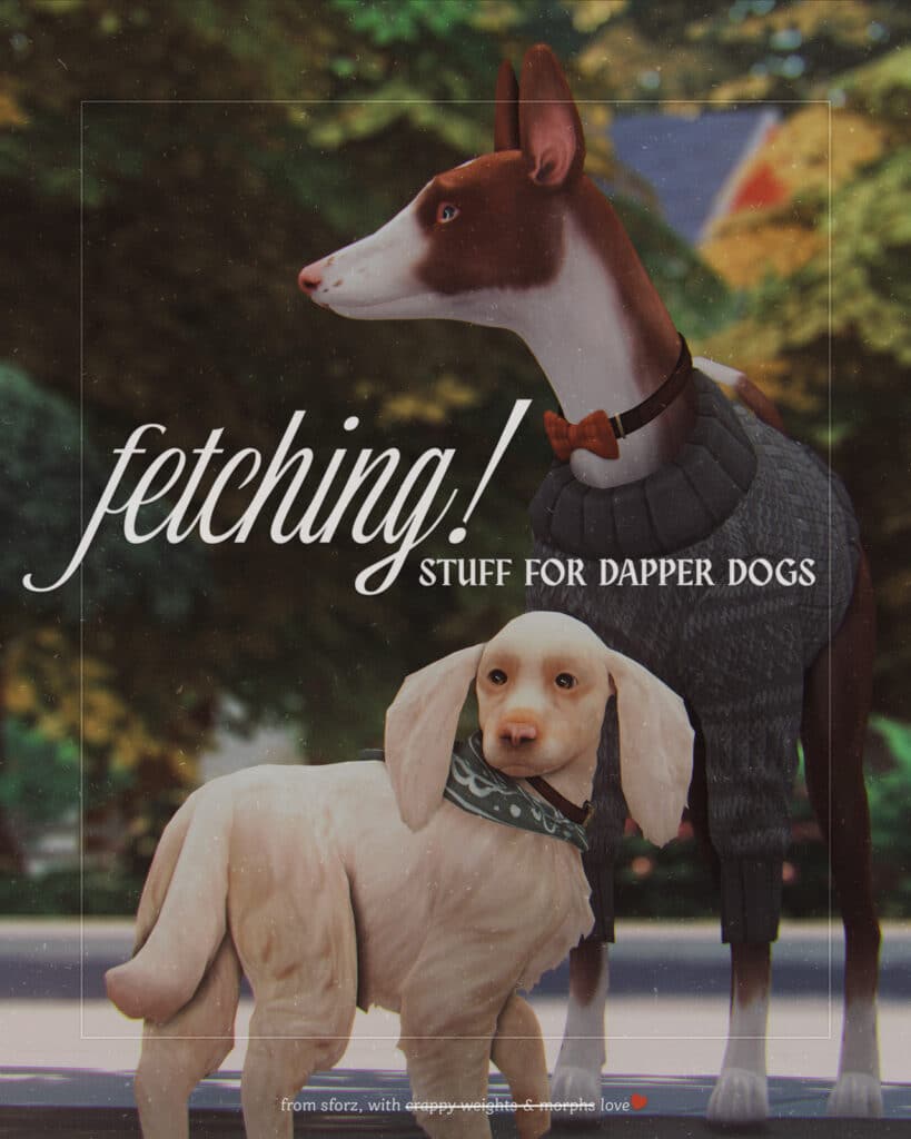 Fetching! Stuff For Dapper Dogs