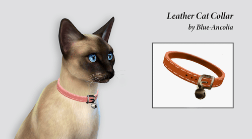 Leather Cat Collar