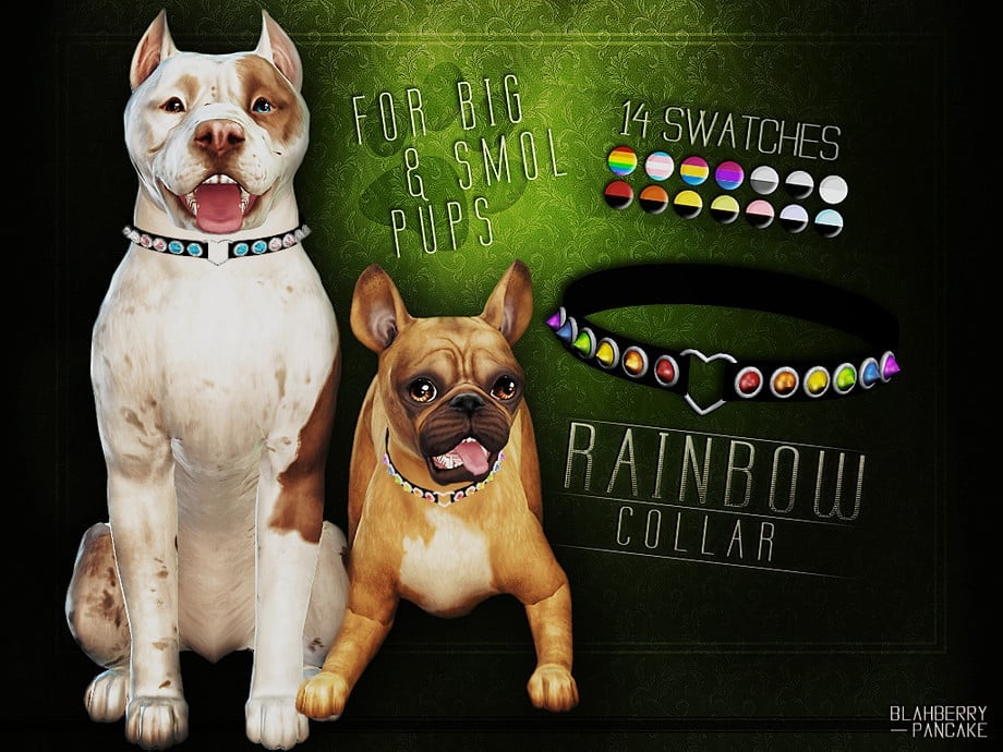 Rainbow Collar For Dogs
