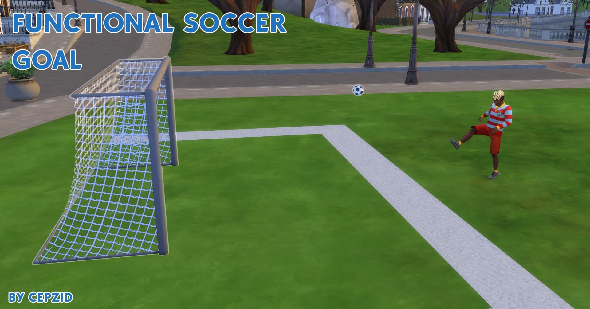 Functional Soccer/Football Goal