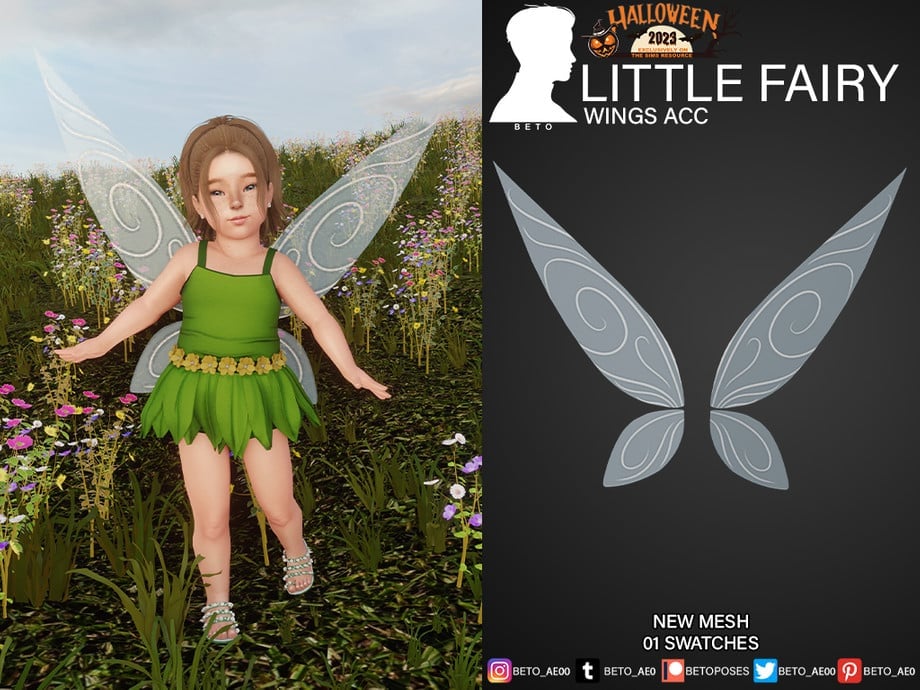 Little Fairy Wings