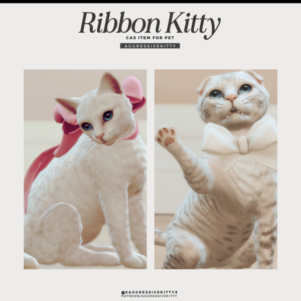 Ribbon Kitty
