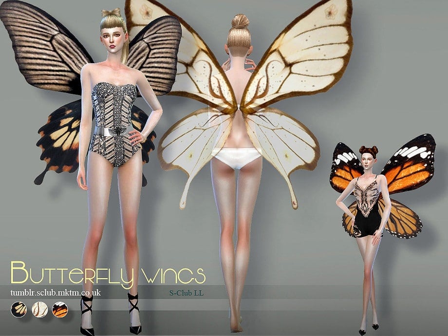 Butterfly Wings 02