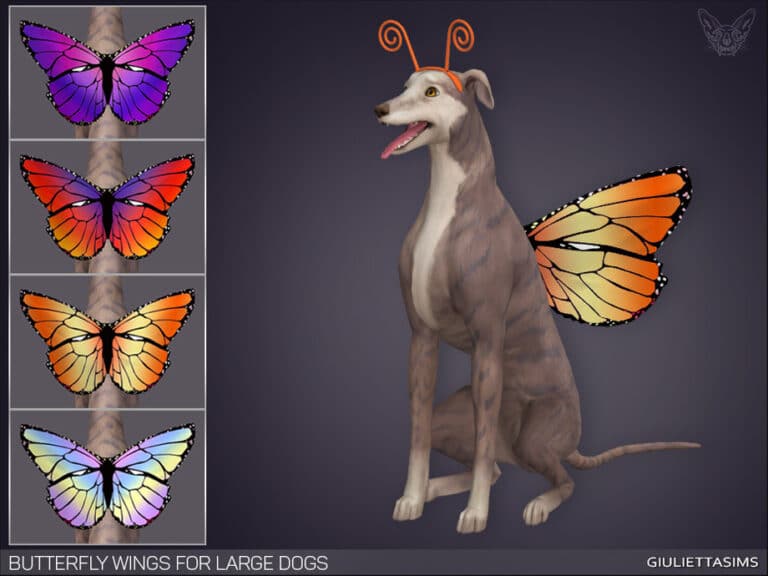 Butterfly Wings For Large Dogs
