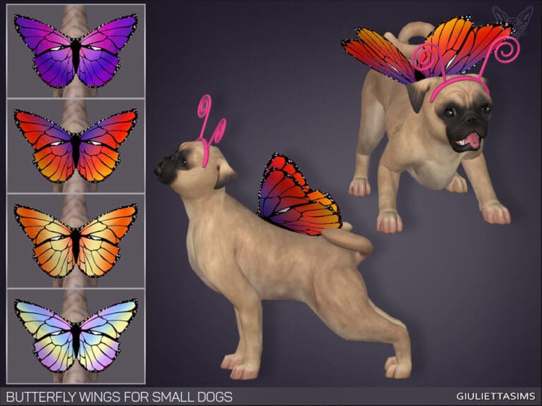 Butterfly Wings For Small Dogs