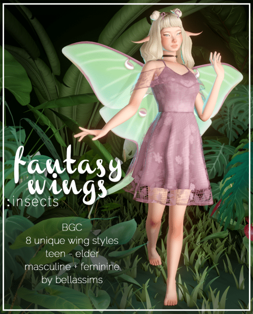 Fantasy Wings