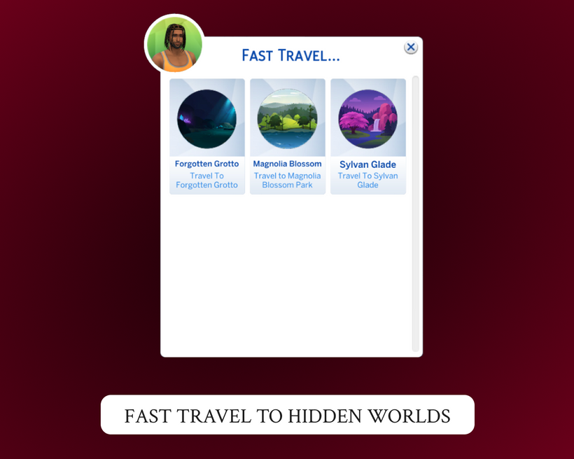 Car Woohoo Accessory 3