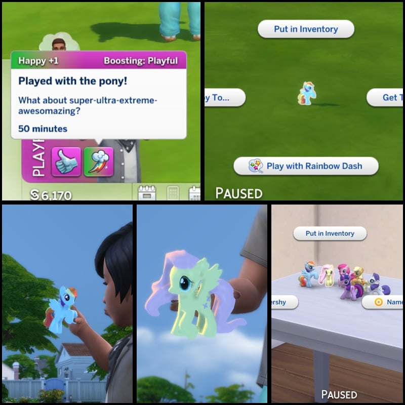 ty